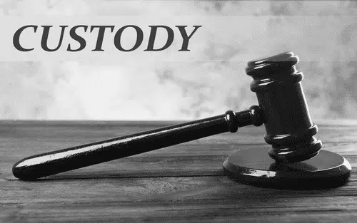 Legal Custody Minnesota