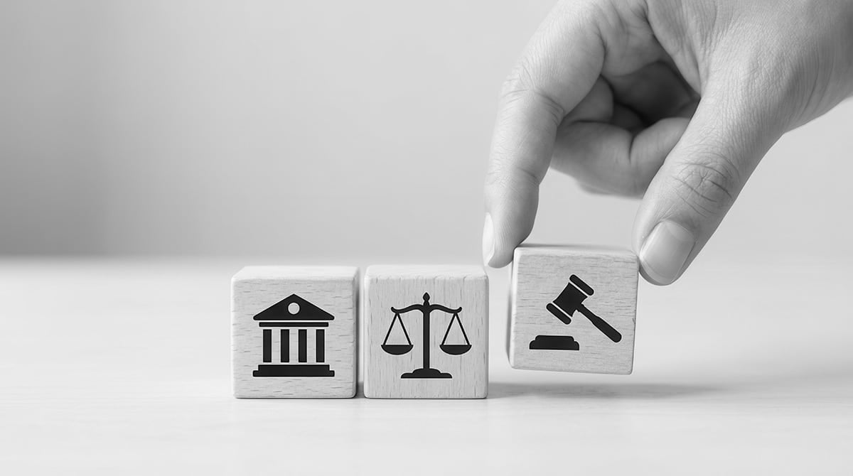 litigation